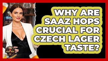 Why Are Saaz Hops Crucial For Czech Lager Taste? - The Pint Guy