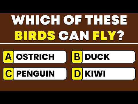 Your IQ Is Impressive If You Pass This General Knowledge Quiz 🧠 Trivia Quiz Challenge!
