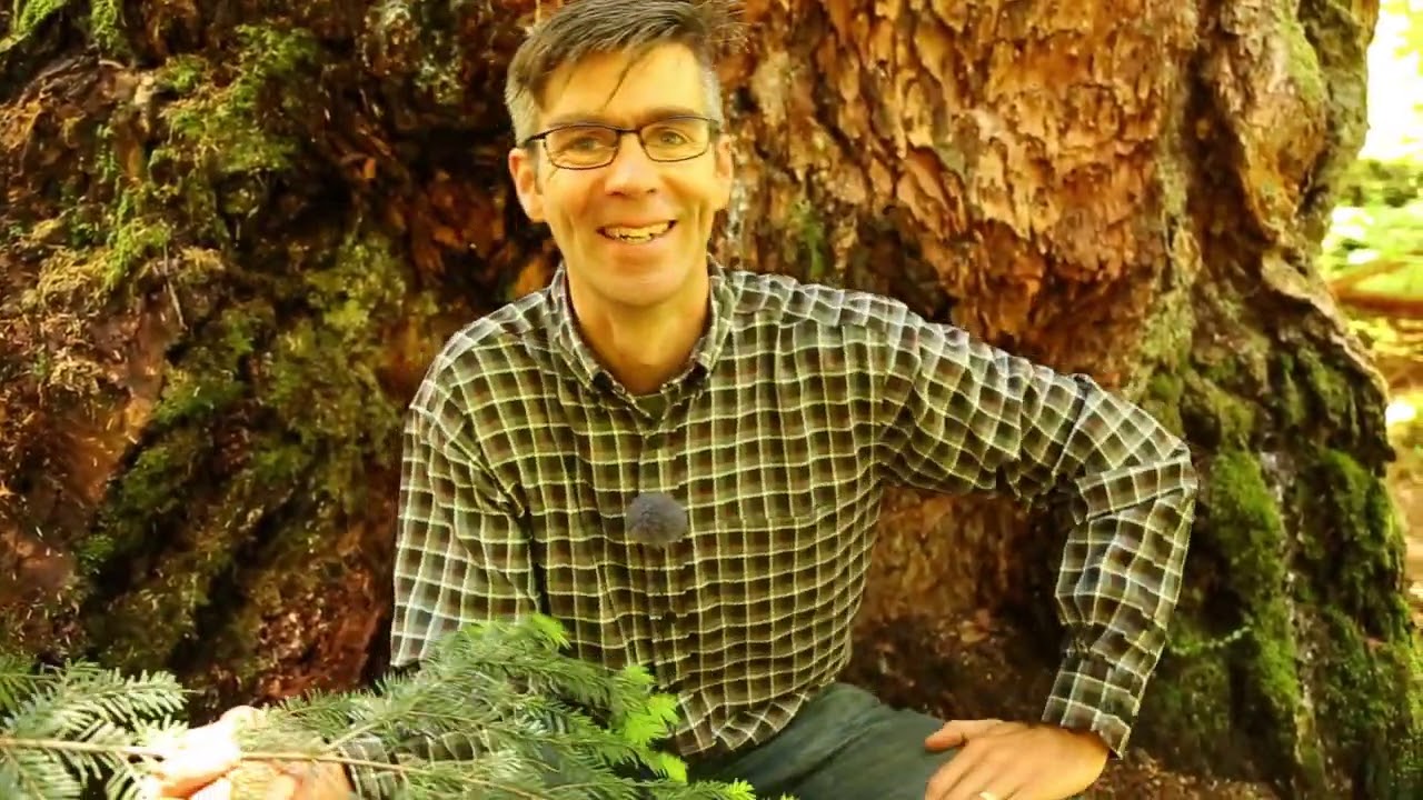 Mountain Natural History of the Pacific Northwest