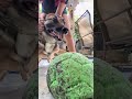 Another Tweaker Joined The Chat