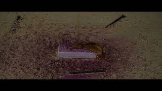 Declique Les Boutons Ip68 Qui Se Nettoient Au Karcher Et Jets Deau Haute Pression