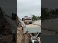 How the crusher process the whole log? #forestmachine #woodchipper #coconuttree #palm