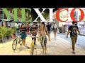 Playa Del Carmen 5th Avenue Walking Street Update | Night Walk | MEXICO 🇲🇽