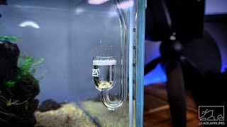 UNBOXING / SETUP | ADA Pollen Glass Mini Co2 Diffuser - YouTube