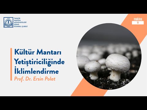 Video: Alman bütçesi: yapı, gelirler, doldurma ve dağıtım şartları