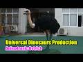 Life Size Animatronic #Ostrich Model, Full Size Animal Exhibits