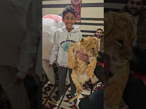 هذا الشبل ليس من ذاك الاسد|صلاح الدالي