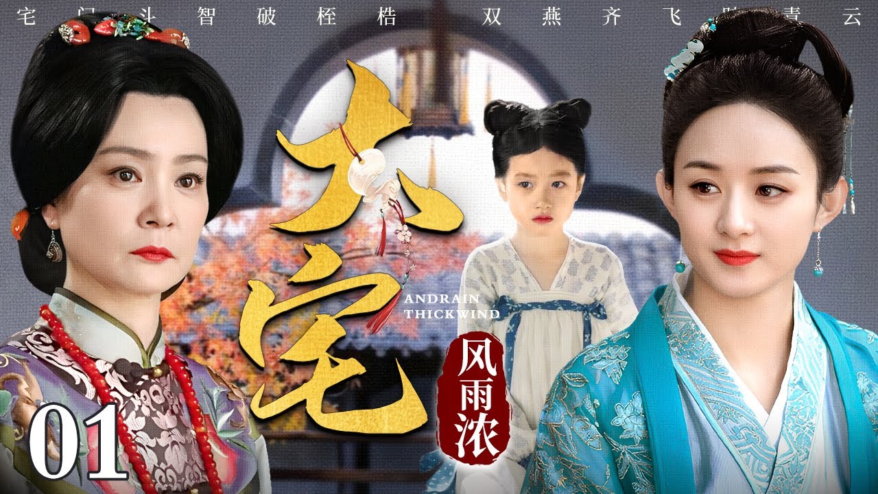 【2025古装宅斗剧】大宅风雨浓 01 | 宅门斗智破桎梏，双燕齐飞踏青云，孤女凭借经商头脑济民救市的传奇励志故事（刘雪华 / 赵丽颖 / 吕艺洲） 堪比《知否》明兰逆袭史