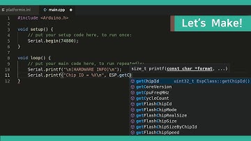Lolin & Wemos Basic #003 : Read Chip Information