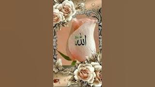 #surah #ikhlas #love #allah