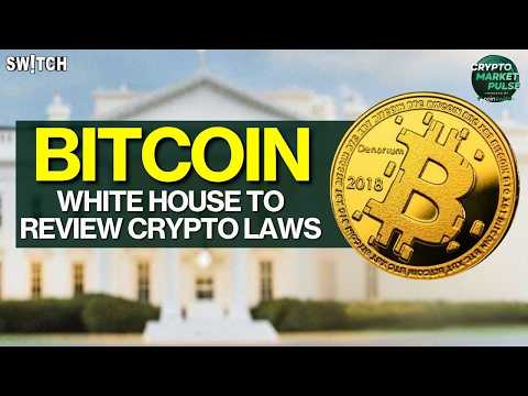 Crypto Market Pulse: White House To Review Crypto Laws!। Top News of The Day। Powered by CoinSwitch