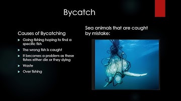 Marine Fish Stocks a Tragedy of the Commons problem, policy and solutions