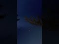 Night timelapse of stars sky