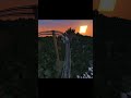race splinecart  #meme#short#minecraft#splinecart#mod#java
