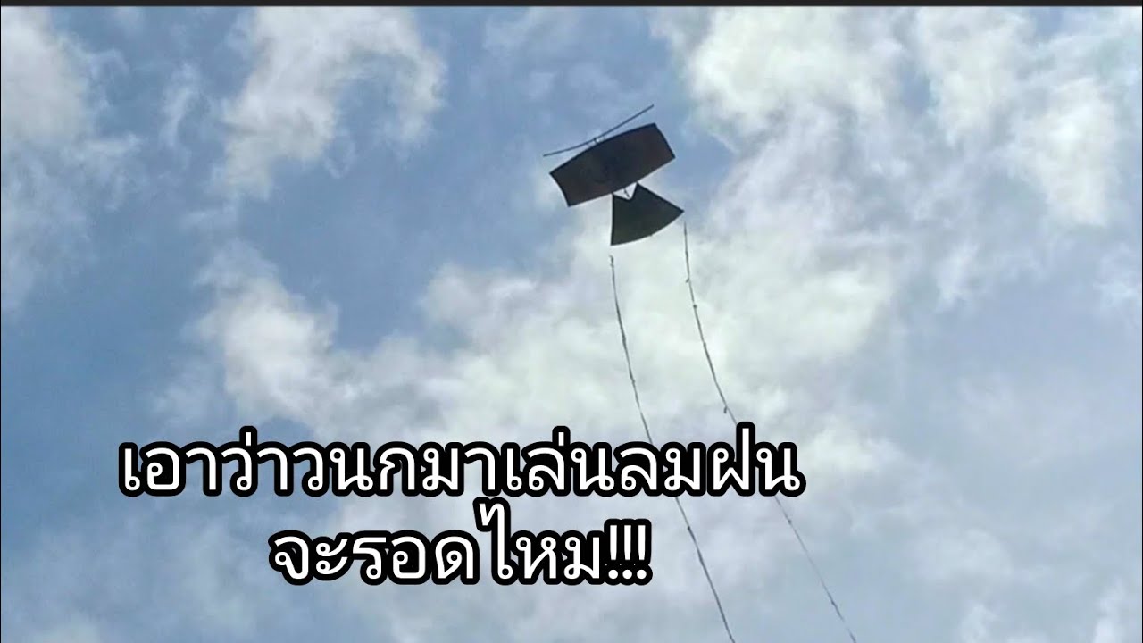 เทสว่าวนกปีกสี่เหลี่ยม เล่นลมฝน จะรอดหรือไม่!!! 