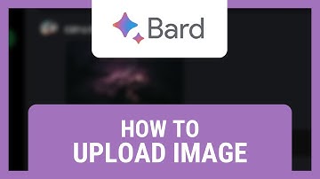 How to Upload Image in Google Bard