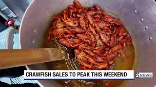 Crawfish Season Heats Up with Better Prices This Year Crawfish Season Why Prices Are Up This Year How To Eat Them