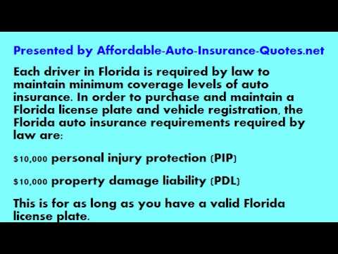 Auto Insurance Quotes Florida - YouTube