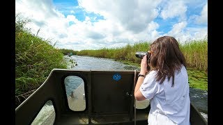 How Does LSU Contribute to Preserving Louisiana's Coastline?