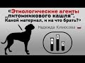 Этиологические агенты «питомникового кашля». Респираторные заболевания