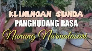 Kliningan Sunda : Panghudang Rasa - Nunung Nurmalasari