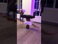 Trippele Combo #breakdance #bboy #killasebi #sebijaeger #dance #freestyle @bboyjamel