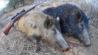 Arrived a day early for a cheeky hunt with the Brothers.