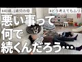【終了のお知らせ】家族全員、全滅しました。