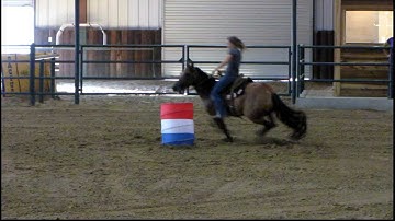 Valley View Ranch - Nip - 17.6 exhibition run 8-25-11