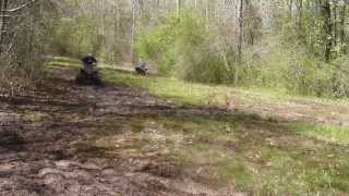 Mud riding by Dan Scrivner 90 views 11 years ago 21 seconds