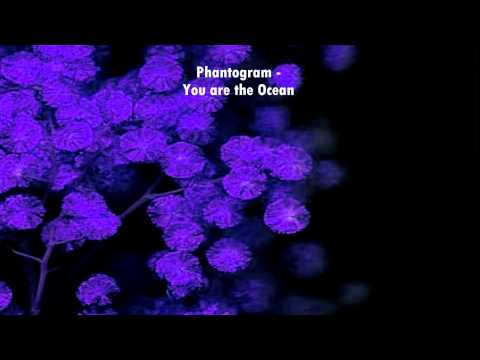 Songs you should listen to: Phantogram - You are the ocean (and I'm good at drowning)