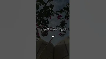 ٢ مارس ٢٠٢٥ 