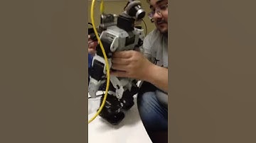 Omnidirectional ZMP-Based Walking for a Humanoid Robot