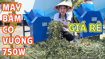 Máy Băm Cỏ Vuông 750W Bình Quân - Lợi Thế Cho Hộ Chăn Nuôi Nhỏ Lẻ