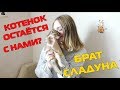 Сладун не одинок || Подарки от GearBest 2