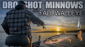 Dropshot tricks for fall walleye fishing