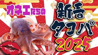オネエたちの新春タコパ２０２５