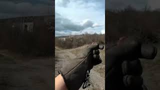 Harris Hawk Hand Calling