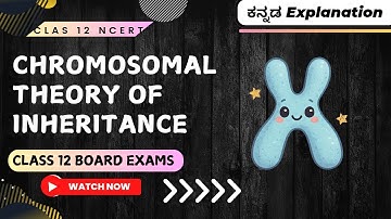 Principles of Inheritance and Variation 06 Chromosomal Theory of Inheritance Class 12 in Kannada