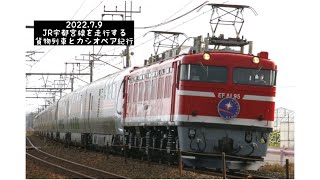 2022.7.9 JR宇都宮線を走行する貨物列車とカシオペア紀行