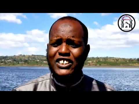 All Nashida Cover Najjash Lion Khan Of Africa