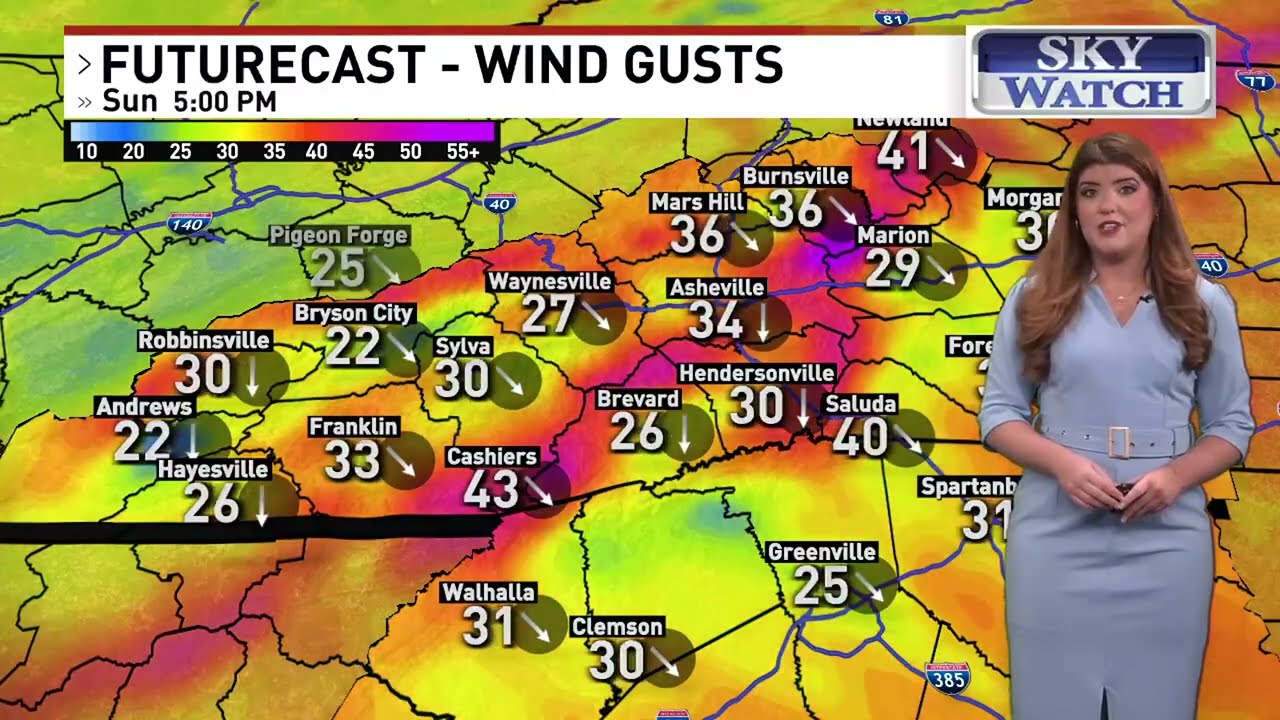 Прогноз погоды на 22 февраля 2026 г., 7:00 утра | Эшвилл, Северная Каролина