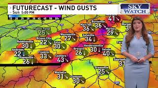 February 22, 2026 7am forecast | Asheville, NC