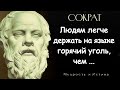 Мудрость Сократа, которую должен услышать каждый. Мудрые мысли, цитаты, афоризмы Сократа.