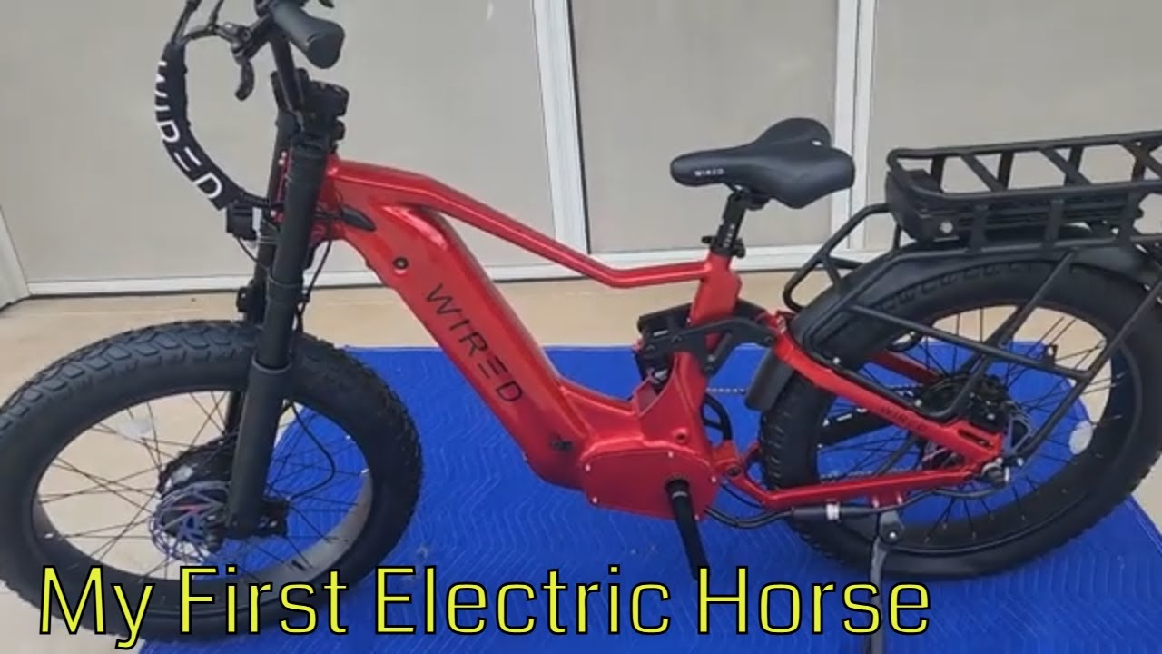 «Проводной хищник»: родился электрический кавалер на 72 В!