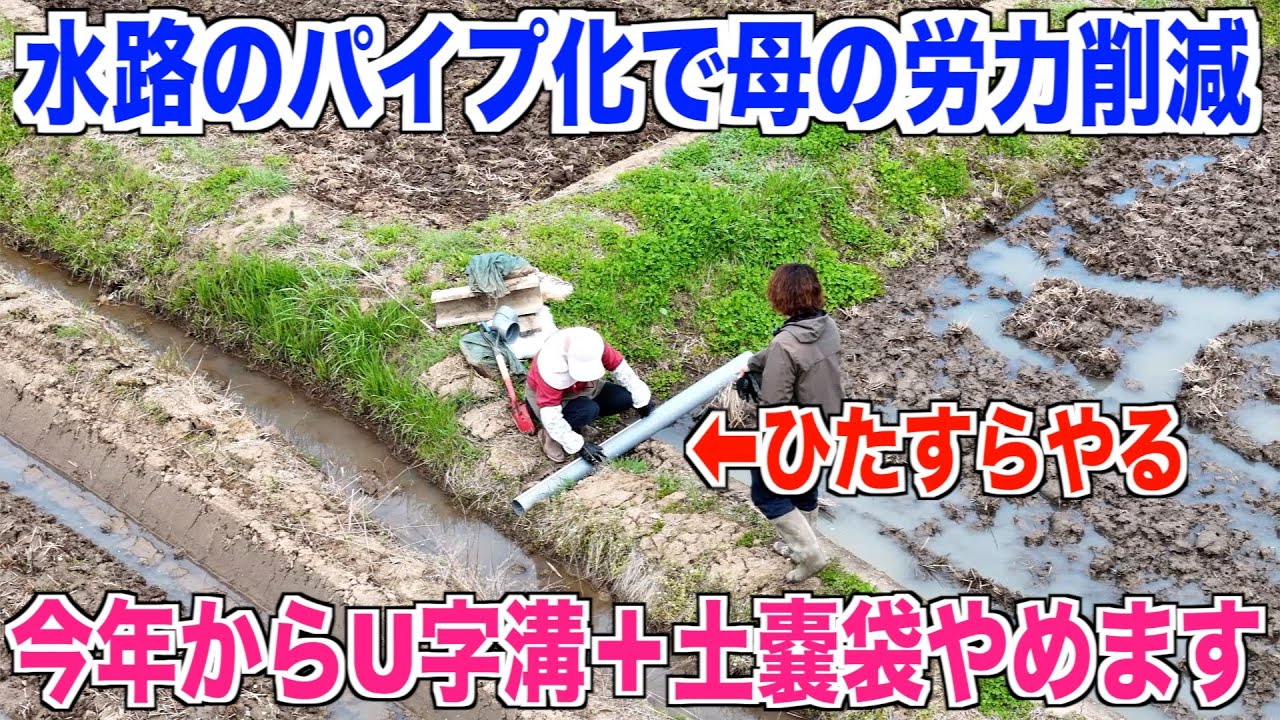 【水路のパイプ化】U字溝と土嚢袋回収して母の水管理労力削減 30代米作り奮闘記#332