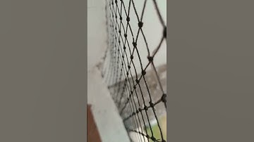 #antibirdnet pigeon net