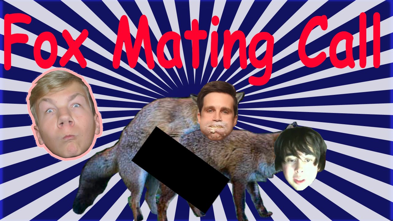 Fox Mating Call