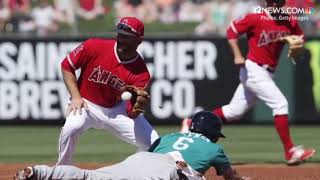 Pitchers and catchers report