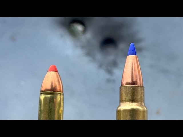 5.7x28 vs 22 Mag: Almost Didn’t Believe It class=